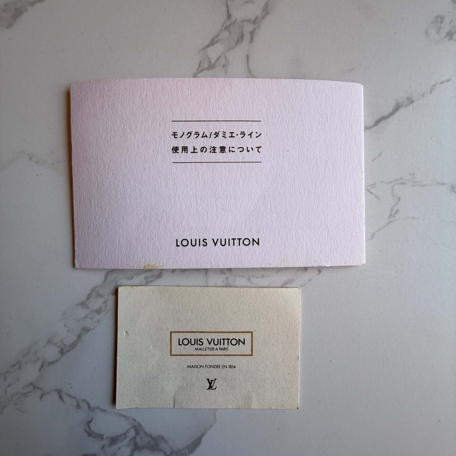 Authentic Louis Vuitton handbag and boooklet