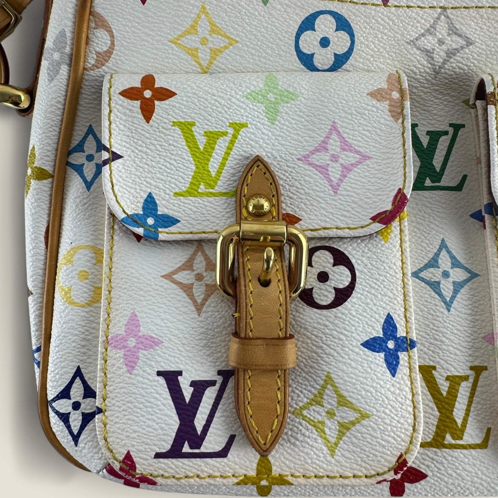 pre-owned Louis Vuitton multicolor Lodge